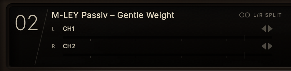 A slot in L/R SPLIT: M-LEY Passiv – Gentle Weight with CH1 on the left row and CH2 on the right row